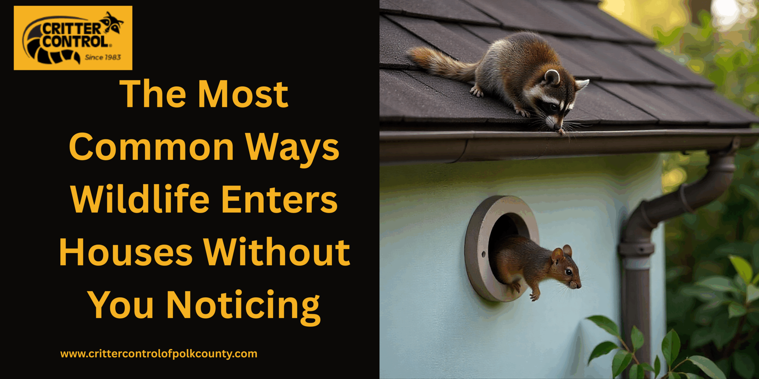 Wildlife Removal