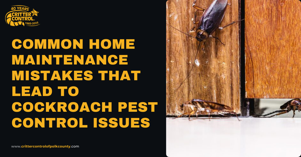 Cockroach Pest Control